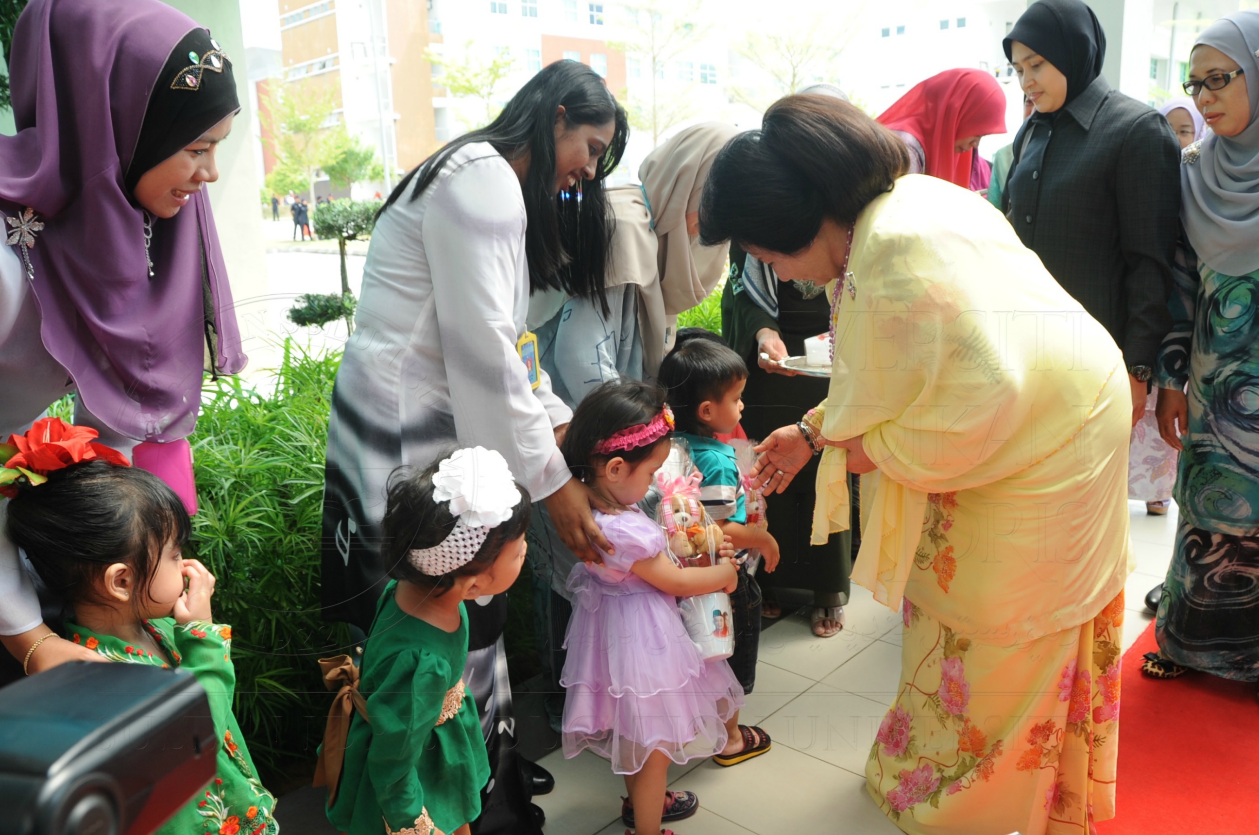 PRO16 32 NCDC HAS 3387